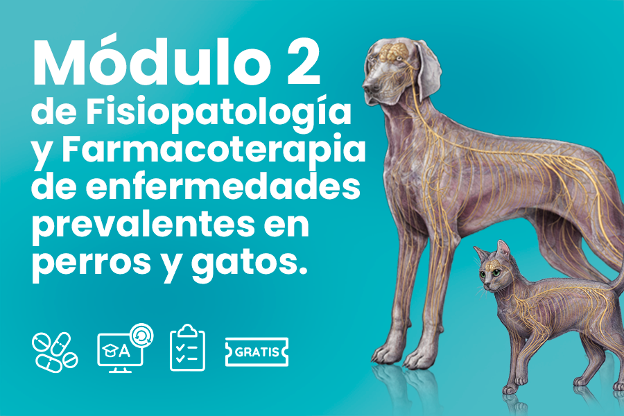 Módulo 2. Fisiopatología y Farmacoterapia de enfermedades prevalentes en perros y gatos 