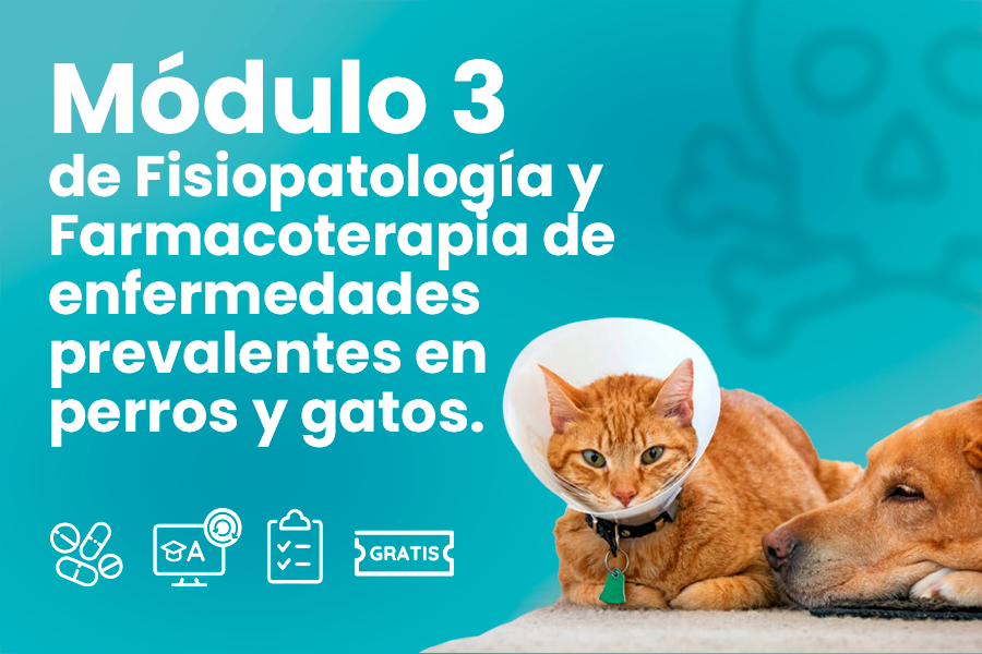 Módulo 3. Fisiopatología y Farmacoterapia de enfermedades prevalentes en perros y gatos