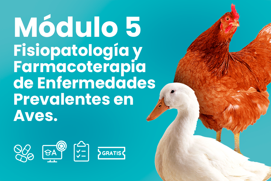 Módulo 5. Fisiopatología y Farmacoterapia de Enfermedades Prevalentes en Aves